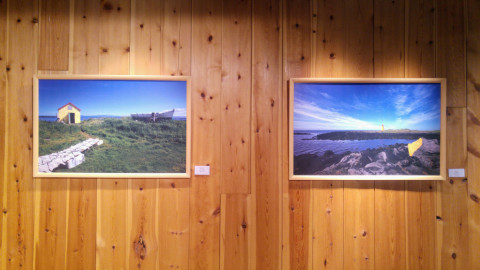 Affection for Icelandic Nature