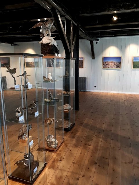 Affection for Icelandic Nature!