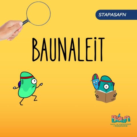 BAUNaleit í Stapasafni