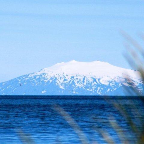 Leshringur Norrænafélagsins á Suðurnesjum