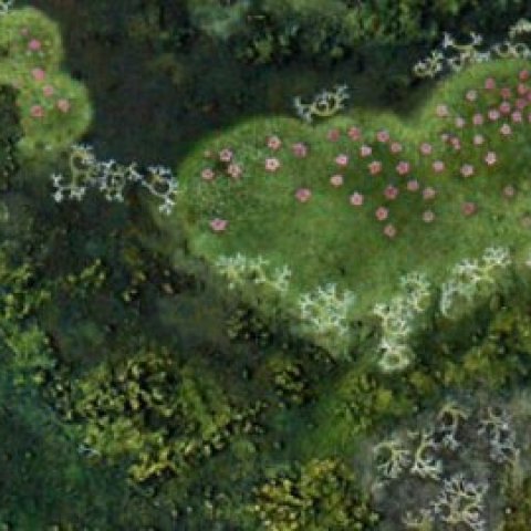 “Fertility”-Silvia Björg