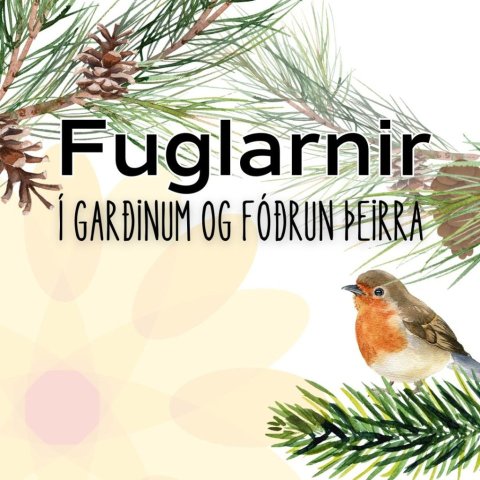 Fuglarnir í garðinum og fóðrun þeirra