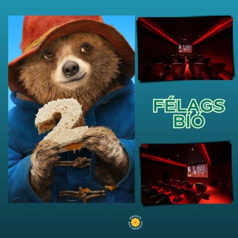 Bókabíó á Safnahelgi, Paddington 2