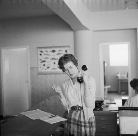 Kaupfélag Suðurnesja