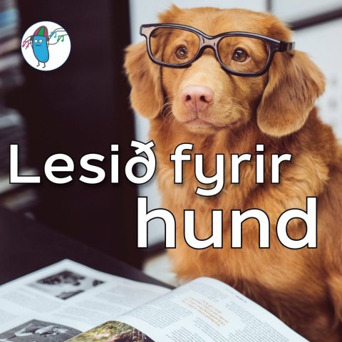 Lesið fyrir hund