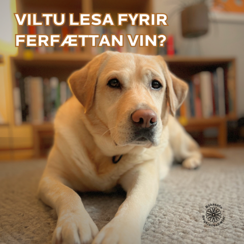 Lesið fyrir hund í vetrarfríinu