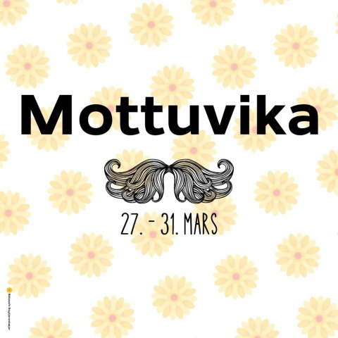 Mottuvika
