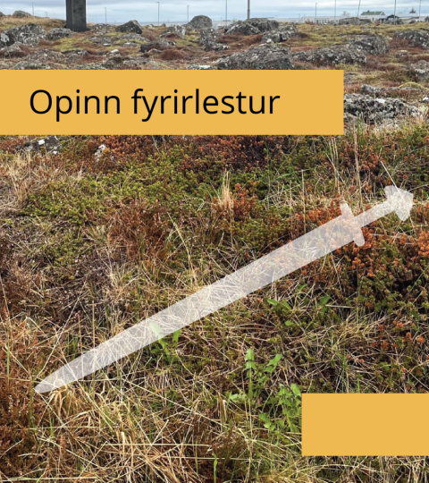 Hvað áttu að gera ef þú finnur forngrip á víðavangi?