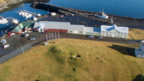 Summer exhibitions open June 1st