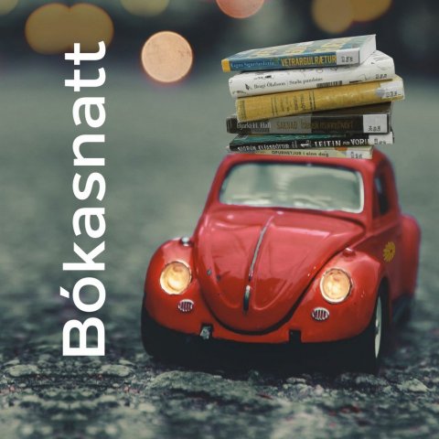 Bókasnatt