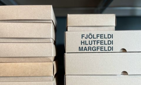 FJÖLFELDI - HLUTFELDI - MARGFELDI