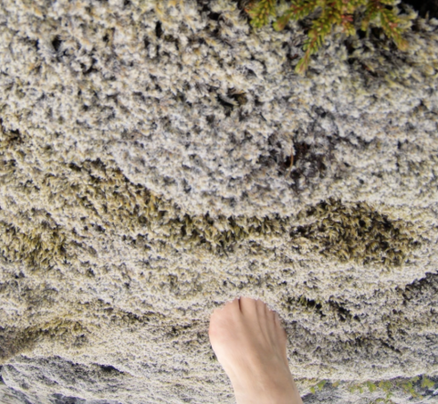 Landscapes of Trauma: a Reflection on Wonder