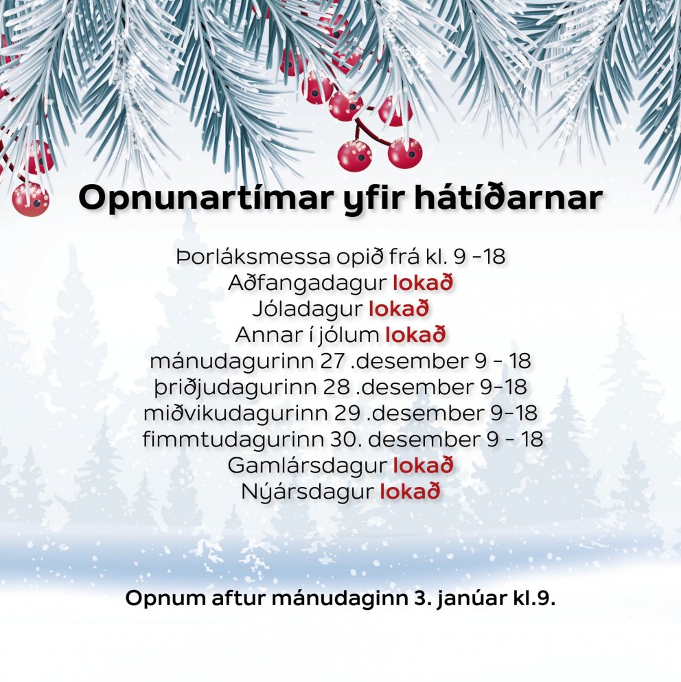 Opnunartímar bóksafnsins um jólahátíðina